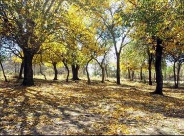 Terreno , Cosquín · Terrenos en Venta en Molinari