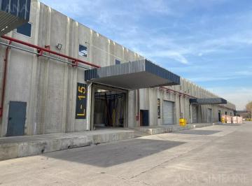 Bodega-Galpón · 300m² · Nave Industrial - Moreno - La Reja - Alquiler