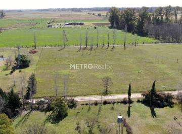 Terreno · 10000m² · Lote en Venta 1 Hectárea en Loma Escondida, Open Door