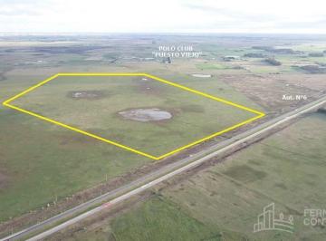 Campo · 1100000m² · Campo en Cañuelas Sobre Autovía N°6