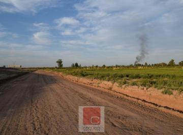 Campo · 12ha · Servidumbre de Paso C/ Salida a Carril N
