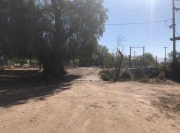 Campo · 23m² · Calle J. Geronimo Ruiz S/n, Coquimbito