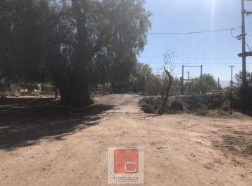 Campo · 23ha · Calle J. Geronimo Ruiz S/n, Coquimbito