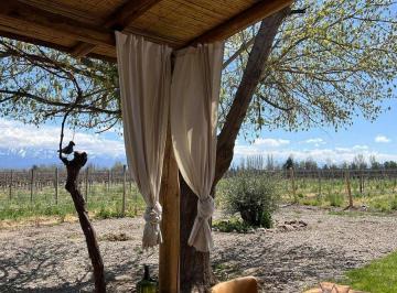 Campo · 10m² · Finca Rosa Blanca Tunuyan