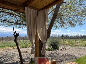 Campo · 10ha · Finca Rosa Blanca Tunuyan
