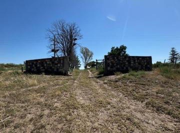 Campo · 10m² · El Carrizal de Abajo - m Km 48