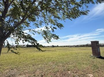 Terreno , Tornquist · Terreno en Venta Sierra de La Ventana