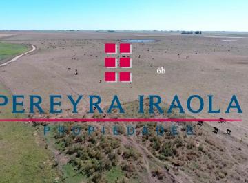 Campo , Olavarría · 1400ha Campo Mixto en Venta en Olavarría, Pcia. de Bs As.