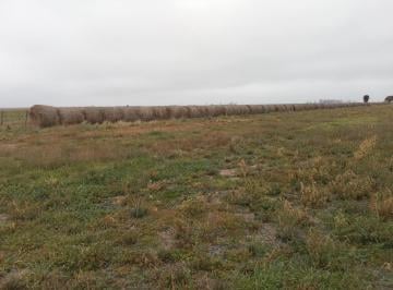 Campo · 1100000m² · 110 Hectaréas en Cordoba - Para Siembra - Molino con Tanque