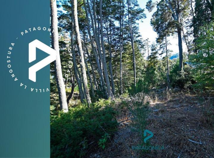 Terreno · 5149m²