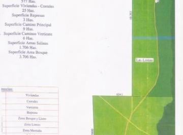 Campo · 8000m² · Venta de Gran Campo de 8.000 Has, con Aptitudes Ganaderas en El Norte de Cordoba