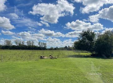 Terreno · 100000m² · Terreno de 10 Ha en Venta Escobar