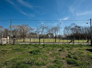 HOG-HOG-1113_2 · Lote. | del Valle