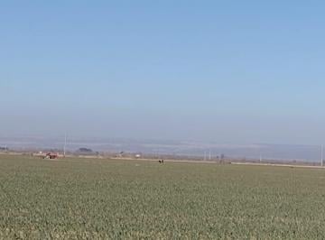 Campo , Luján de Cuyo · Finca 70 Has Inculta Ugarteche Luján Cuyo Apta Viñedos y Chacra