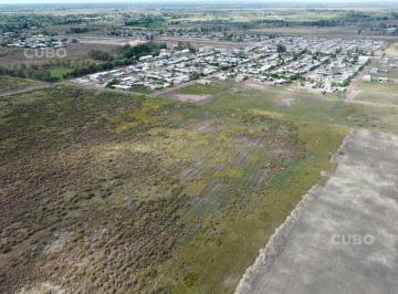 Campo · 1500000m² · Fraccion de 1,5 Ha en San Roque Maipu Mendoza