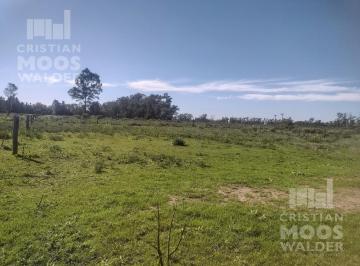 Terreno · 1554m² · Terreno en Venta en Exaltación de La Cruz