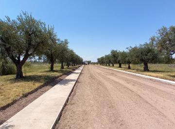 Terreno , Luján de Cuyo · Lote Esquina en Monteolivo Barrio Privado