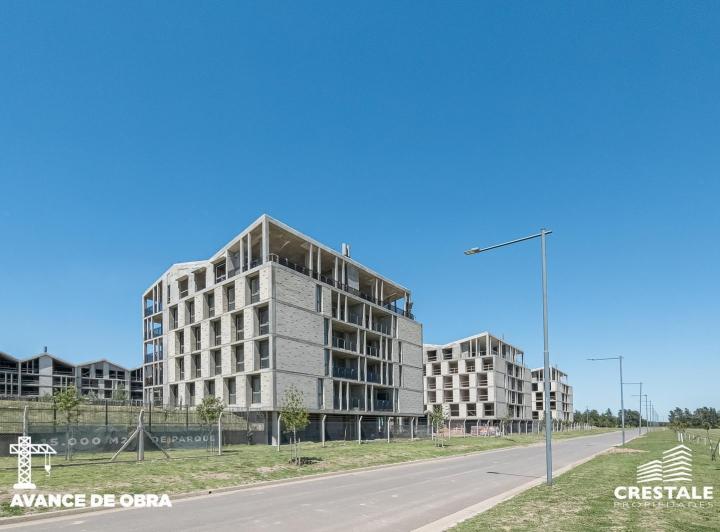 Desarrollo vertical · Arboria - Etapa 1