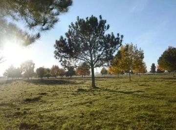 Terreno · 1000m² · Hermoso Lote Interno en Barrio Cerrado Mirabosques (Cardales