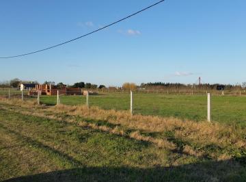 Terreno · Terreno en Venta Ubicado en La Paz (Roque Pérez), Resto de La Provincia, Buenos Aires