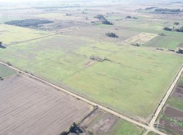 Campo · 200000m² · Campo en Venta - Virrey del Pino