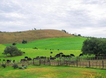 Campo · 7300000m² · 4 Dormitorios · Campo en Venta en Minas, Uruguay
