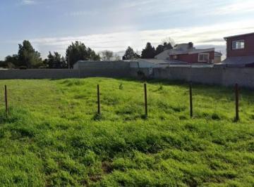 Terreno · 330m² · Alvear, Barrio Monte Flores, Tres Lotes a La Venta.