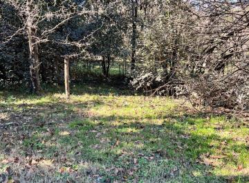Terreno , Salsipuedes · Lote a La Venta en Salsipuedes