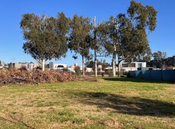 Terreno · 533m² · Excelente Terreno en Venta en Barrio Santo Tomás