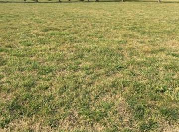 Terreno · 1100m² · Lote en Venta Club de Campo Las Hojas, Marcos Paz