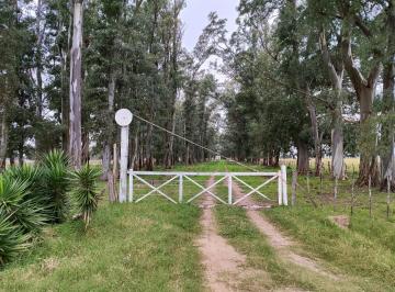 Campo · 1650000m² · Campo en La Plata
