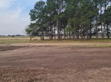 Terreno , Pilar · Lote en Venta en Pilará - Hirusta Propiedades