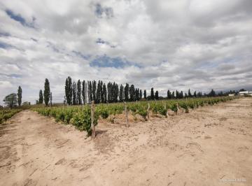 Terreno , Perdriel · Venta 4 Ha Zona Perdriel Para Desarrollo Inmobiliario