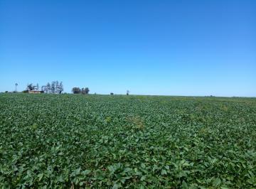 Campo , Río Tercero · Excelente Campo en Los Potreros