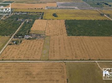 Campo · 160000m² · Campo en Venta en Ibarlucea