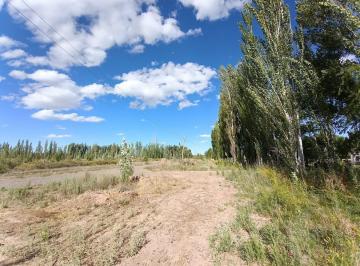 Campo · 50000m² · 5 Héctareas (Chacra) con Riego y Entrada Individual en 25 de Mayo La Pampa