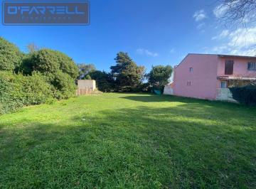 Terreno · 800m² · Lote / Terreno Calle de Las Almejas Entre Santa María y Cruz del Sur - Parquemar - Miramar
