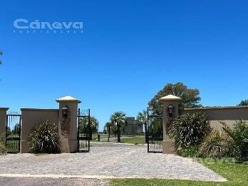 Casa · 1000m² · 7 Ambientes · 8 Cocheras · Casa en Carmen de Areco a m del Pueblo Tres Sargentos