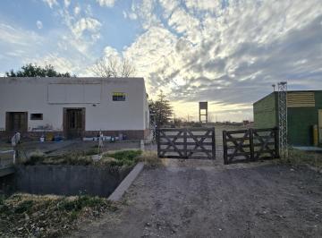 Campo de 3 ambientes, San Rafael · Gran Finca (Extenso Terreno Más Casa con Galpones) / El Cerrito, San Rafael