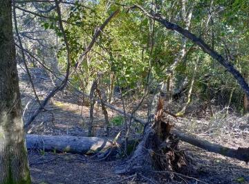 Terreno , Villa La Angostura · Hermosolo Lote – Desarrollo Barrio Las Balsas - Villa La Angostura