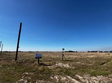 Campo · 49848m² · 1 Ambiente · Venta Fracción Campo Presidente Perón Ideal Barrio Proyecto
