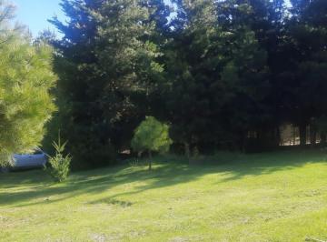 Terreno · 2000m² · Terreno en Mallin Ahogado