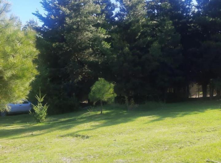 Terreno · 2000m²