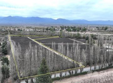 Campo · 23000m² · Finca en Las Compuertas