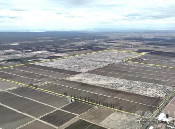 Campo · 2650000m² · Finca con Viñedos en Agrelo