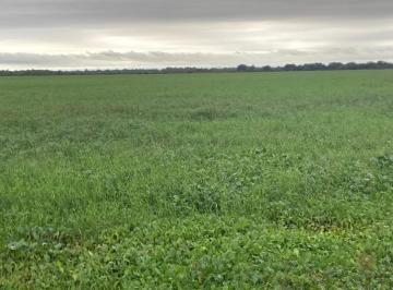 Campo · 9490000m² · Malvinas, Corrientes - 949 Ha Ganadero