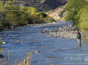 Campo · 50ha · 2 Ambientes · Campo en Venta 486 Has con Costa del Alto Rio Chubut