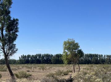 Terreno · 150000m² · Venta Campo en Cervantes, Rio Negro
