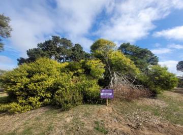 Terreno , Nueva Atlantis · Lote en Esquina en Venta en Nueva Atlantis