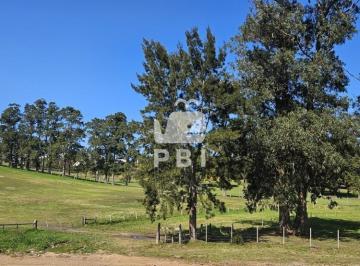 Foto1 · Terrenos en Venta Frente a Club de Golf de Punta del Este - Ref: Pbi13973
